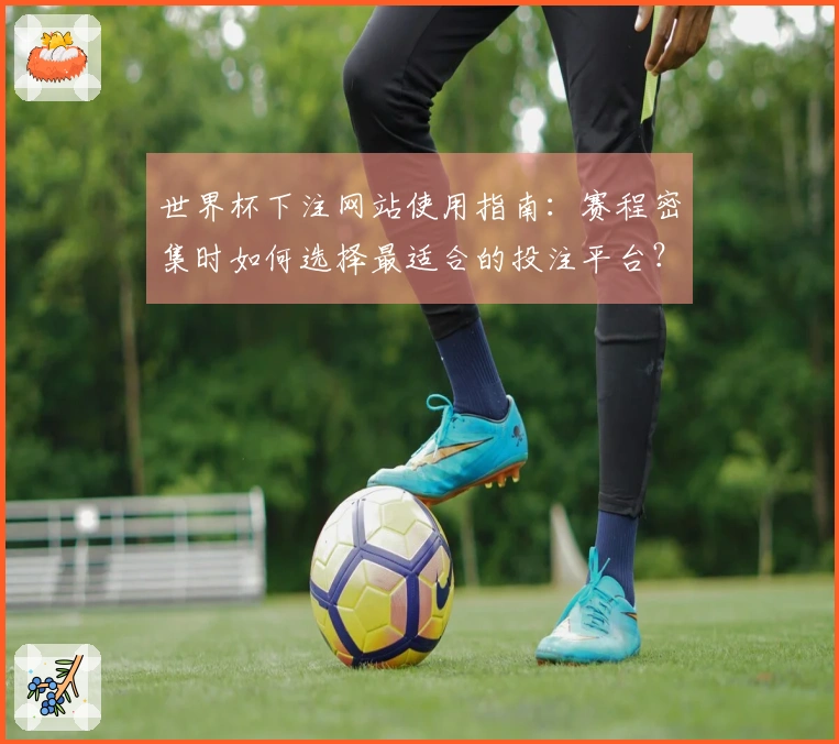 世界杯下注网站使用指南:赛程密集时如何选择最适合的投注平台?